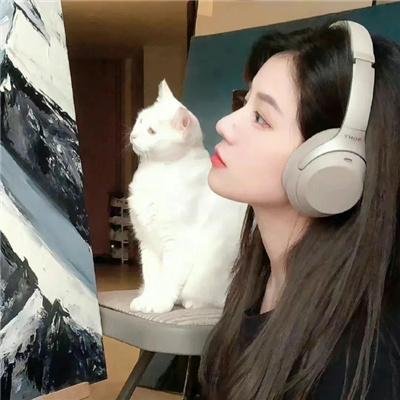 热播剧集