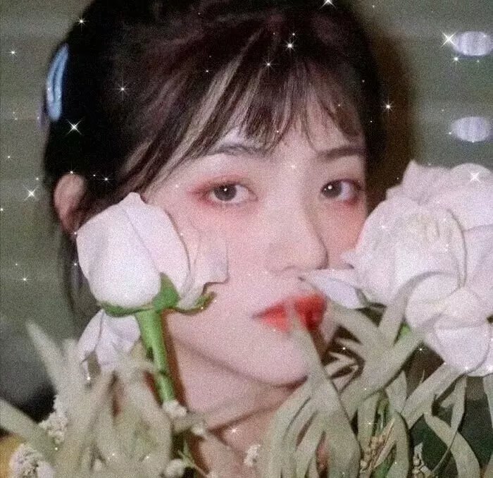 法不容情