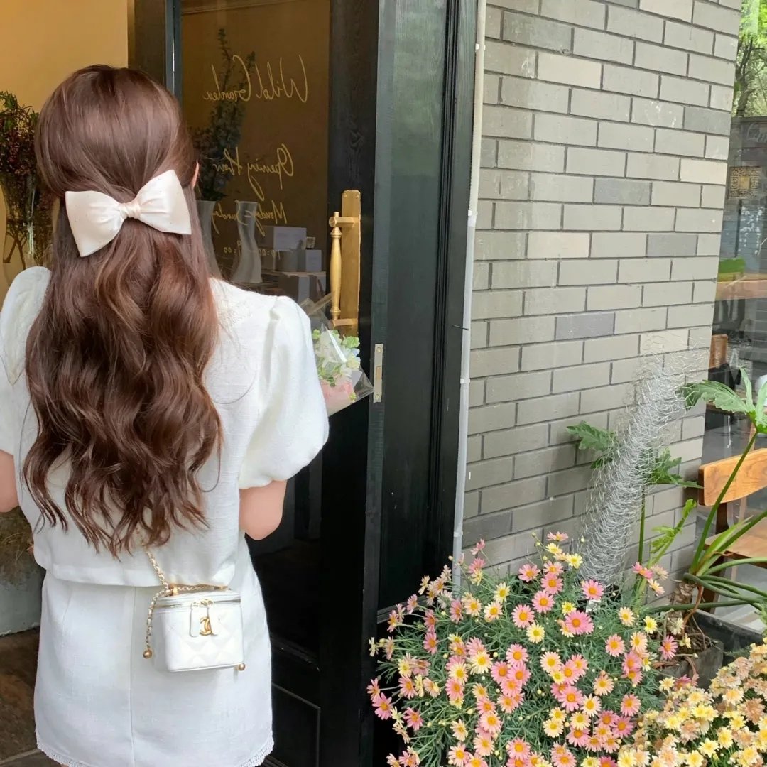 夏日的玫瑰